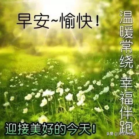 早安温馨的图片加句子 早安温馨的图片加句子