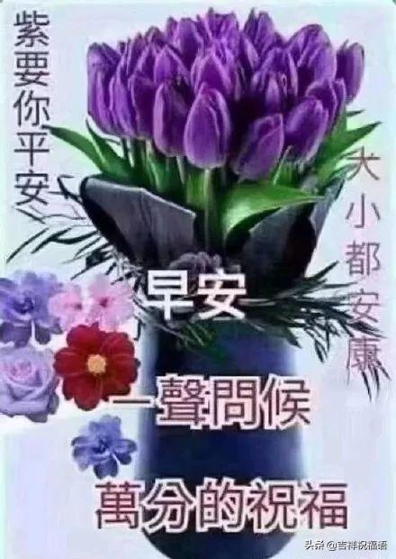 早安暖暖问候语温馨的句子 早安暖暖问候语温馨的句子
