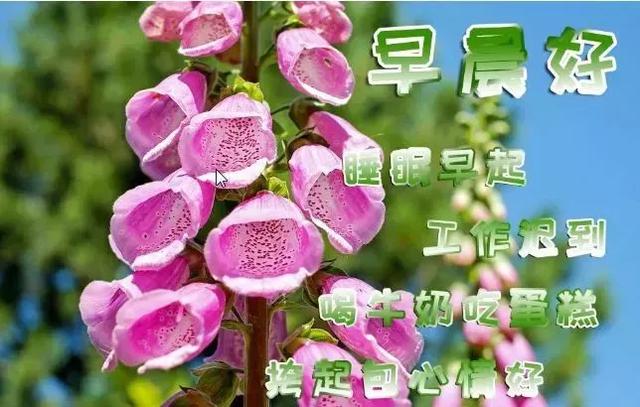 房子虽然不大但是温馨的句子 房子虽然不大但是温馨的句子