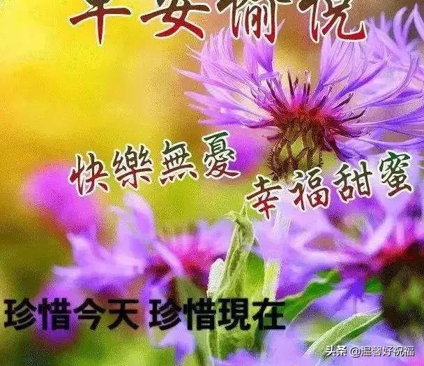 早上好温馨祝福语短信句子 超级漂亮早上好问候祝福语