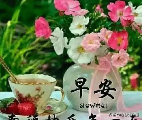 早上好温馨祝福语短信句子 超级漂亮早上好问候祝福语