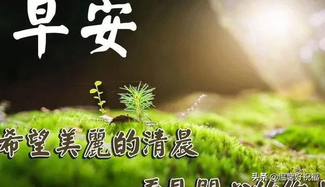 早上好温馨祝福语短信句子 超级漂亮早上好问候祝福语