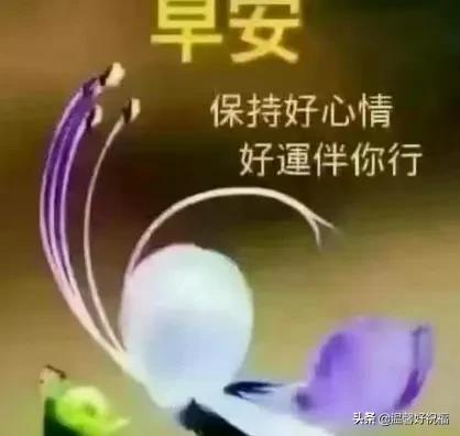 早上好温馨祝福语短信句子 超级漂亮早上好问候祝福语