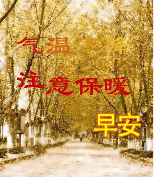一路相伴,愿友谊地久天长,我为您祝福:好人一生平安,早安