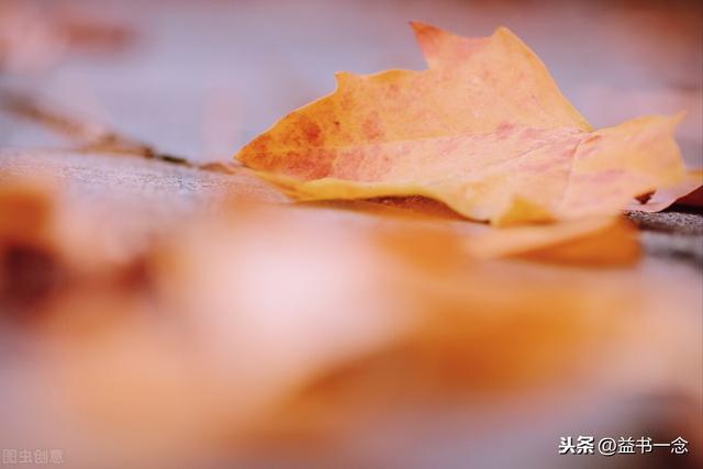 干净的生活句子