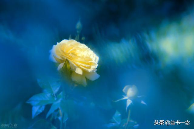 干净的生活句子