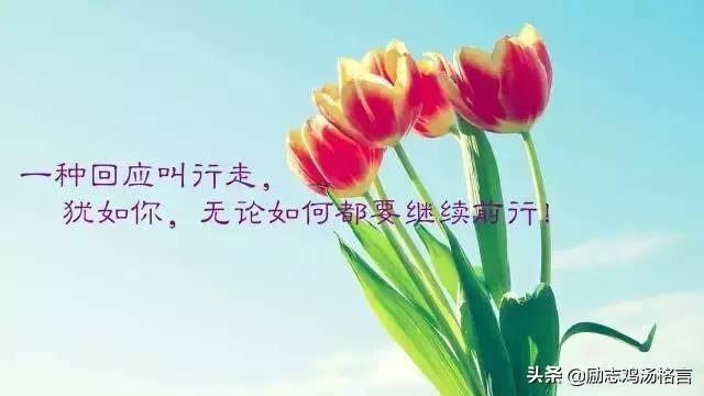 人生励志哲理感悟经典语录