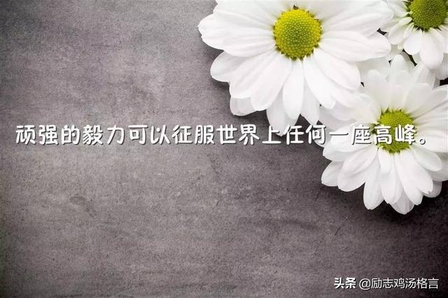 人生励志哲理感悟经典语录