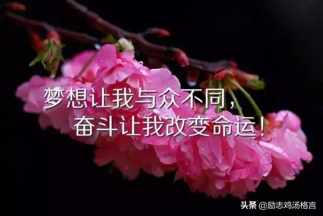 人生励志哲理感悟经典语录