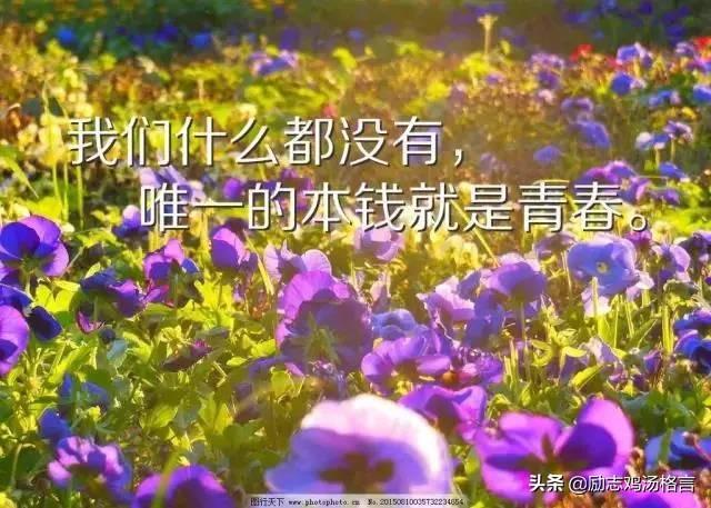 人生励志哲理感悟经典语录