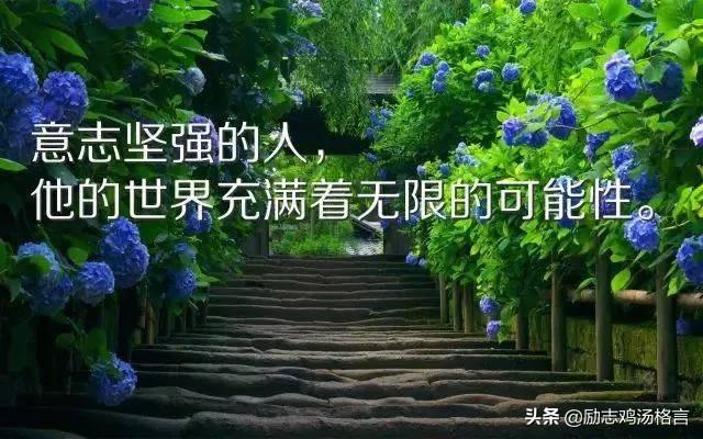 人生励志哲理感悟经典语录