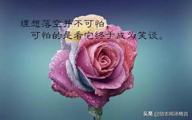 人生励志哲理感悟经典语录