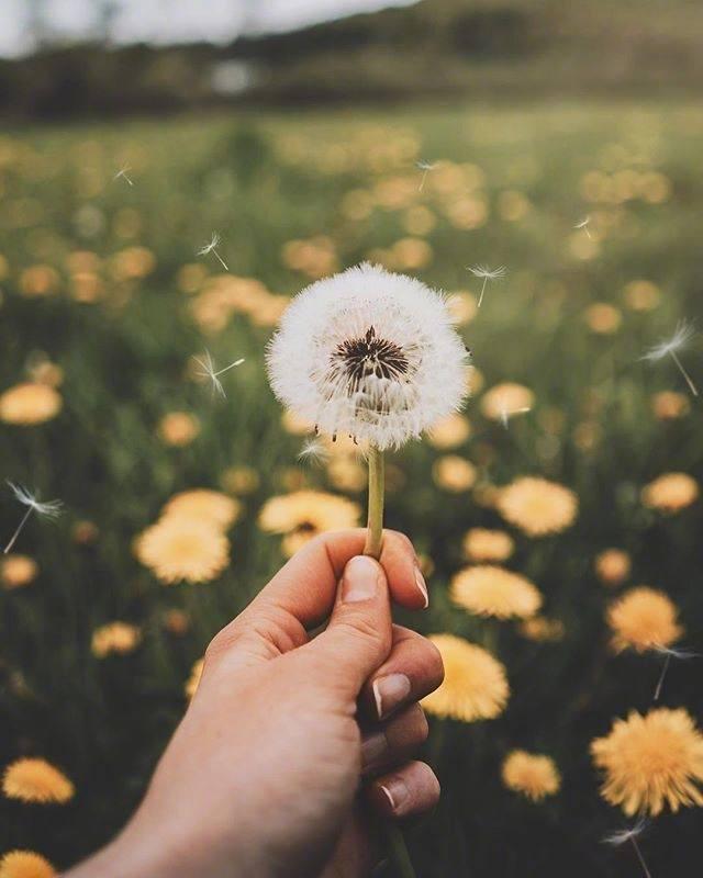 温馨的句子或一段话