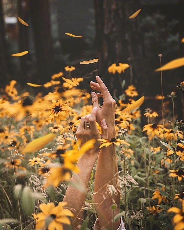 温馨的句子或一段话