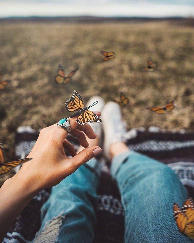 温馨的句子或一段话