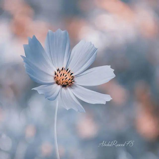 成熟有气质的个性签名