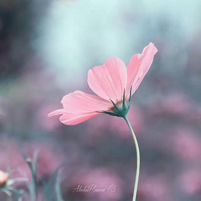 成熟有气质的个性签名