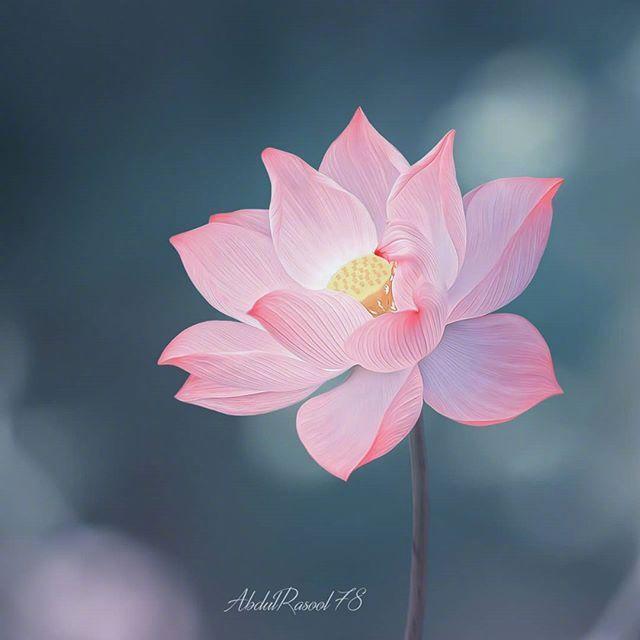 成熟有气质的个性签名