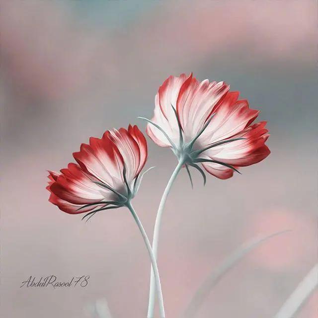 成熟有气质的个性签名