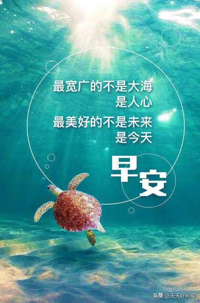 微信正能量励志的句子