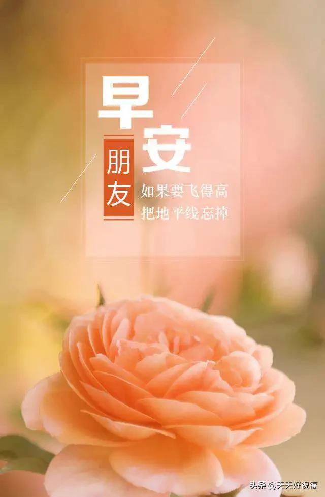 微信正能量励志的句子