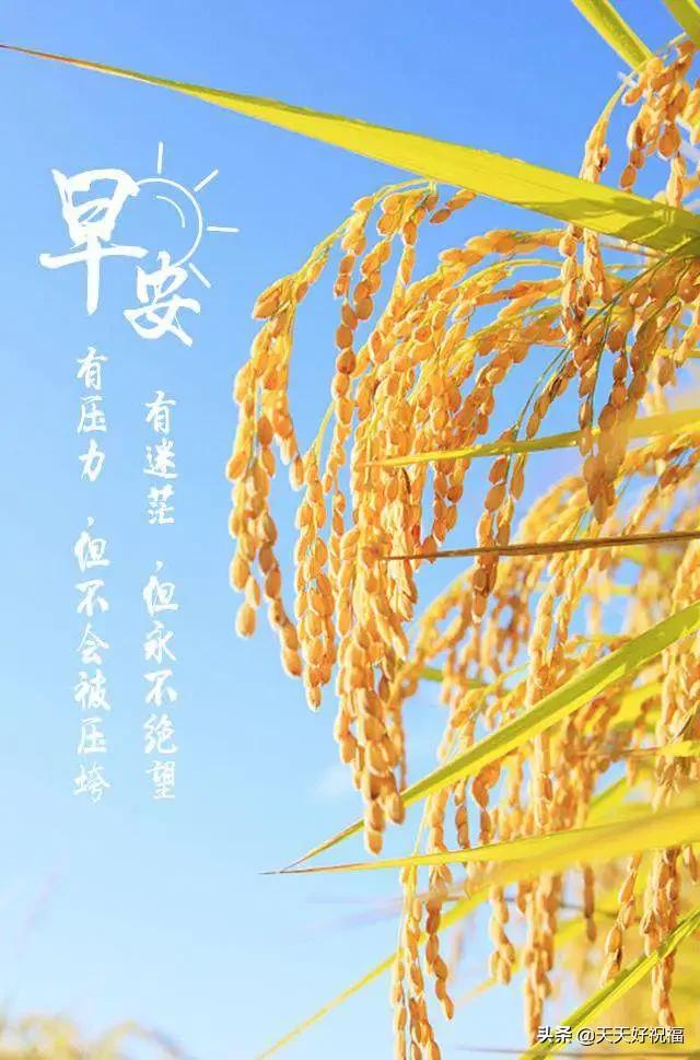 微信正能量励志的句子