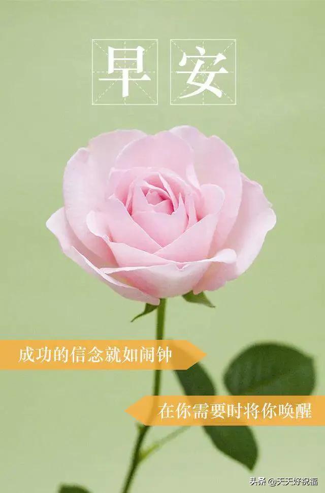 微信正能量励志的句子