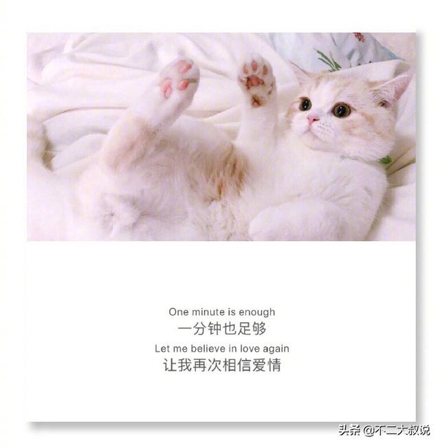 表达爱孩子温馨句子英文 表达爱孩子温馨句子英文