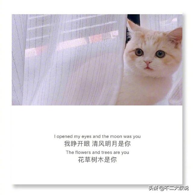 表达爱孩子温馨句子英文 表达爱孩子温馨句子英文