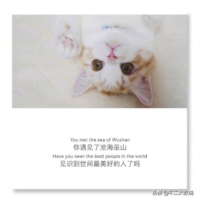 表达爱孩子温馨句子英文 表达爱孩子温馨句子英文