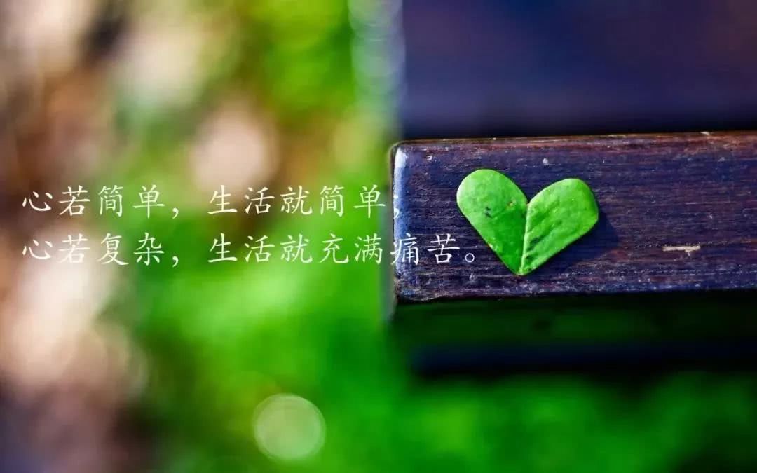 朋友的经典句子【看清朋友的经典句子】