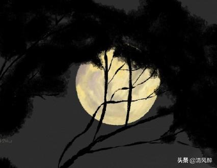 烧烤的经典句子