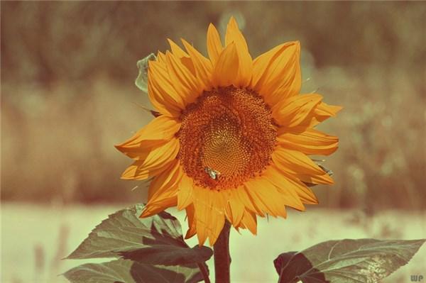 非常励志的短句