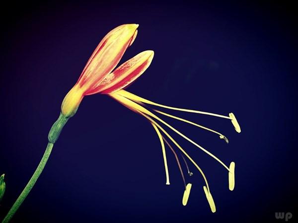 经典句子 霸气 经典句子 霸气