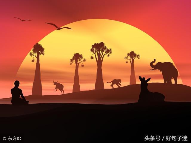 经典句子大全 经典句子大全