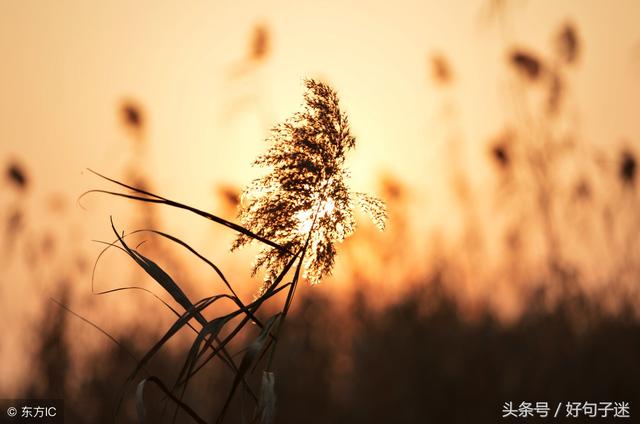 经典句子大全 经典句子大全