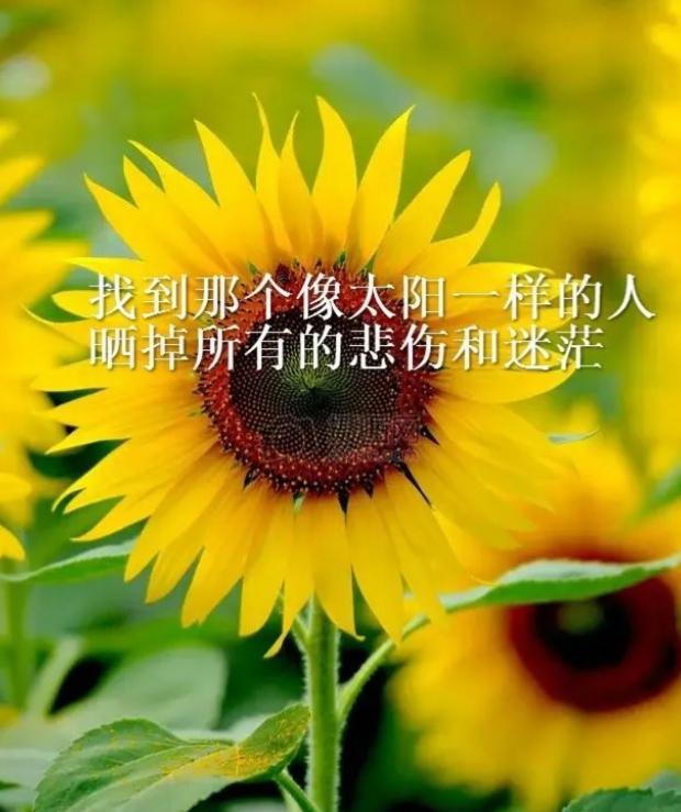 霸气的生活句子