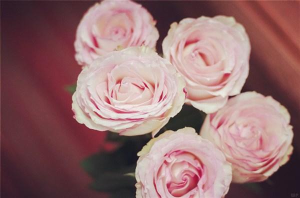 生活句子朋友圈 生活句子朋友圈