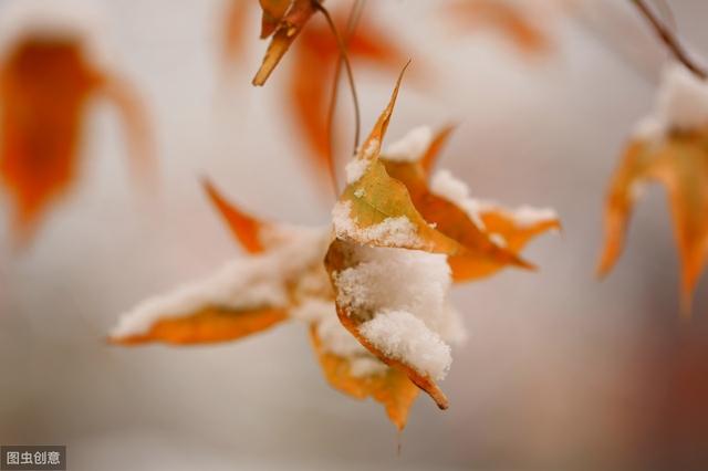 深飘的经典句子 深飘的经典句子