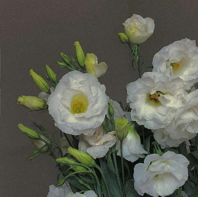 让人忍不住评论的文案 让人忍不住评论的文案