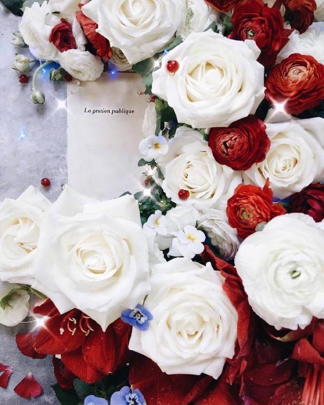 平静的生活句子