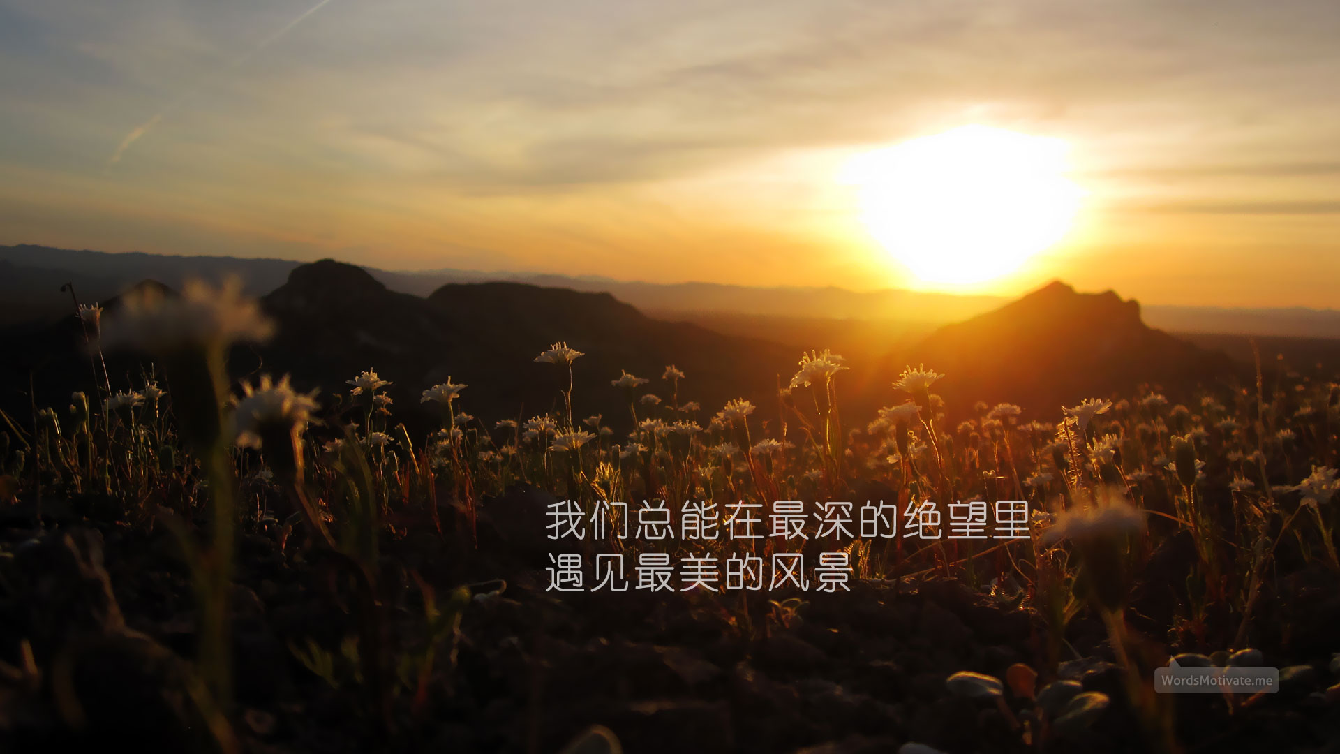 经典句子大全集【对比句子大全集】