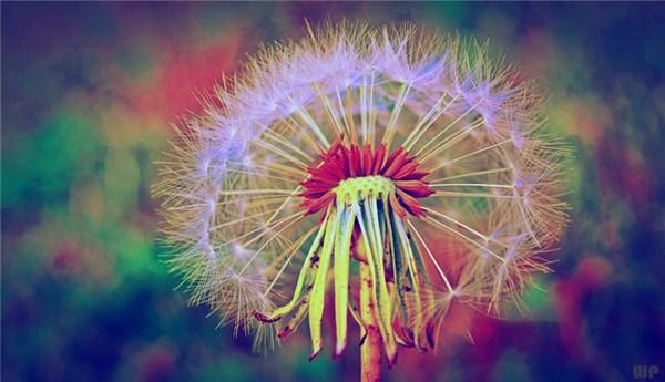 微信说说简短经典语录