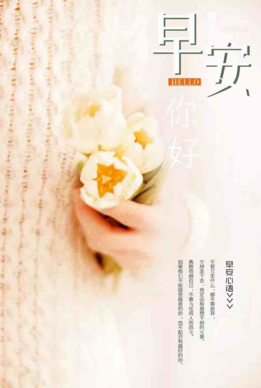 早上好温馨唯美的句子_(早安问候温馨短句)