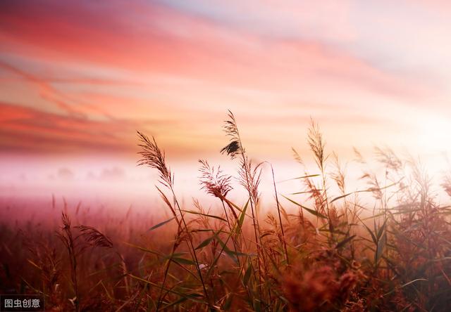 适合摘抄的优美段落 适合摘抄的优美段落