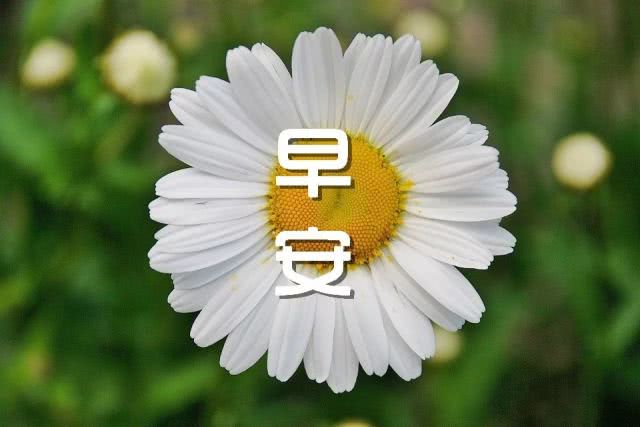 形容家特别温馨的句子(形容家庭幸福的唯美句子)
