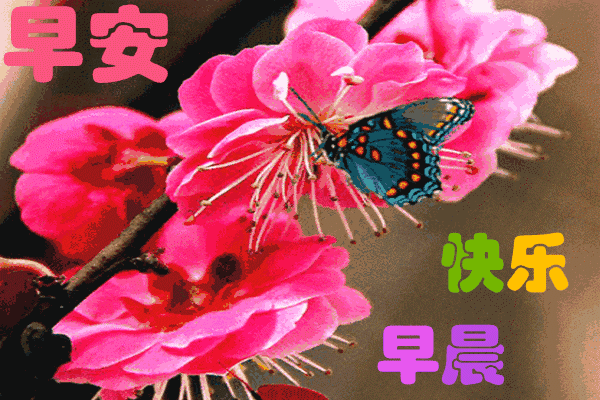 早上雨天问候语温馨的句子 早上雨天问候语温馨的句子