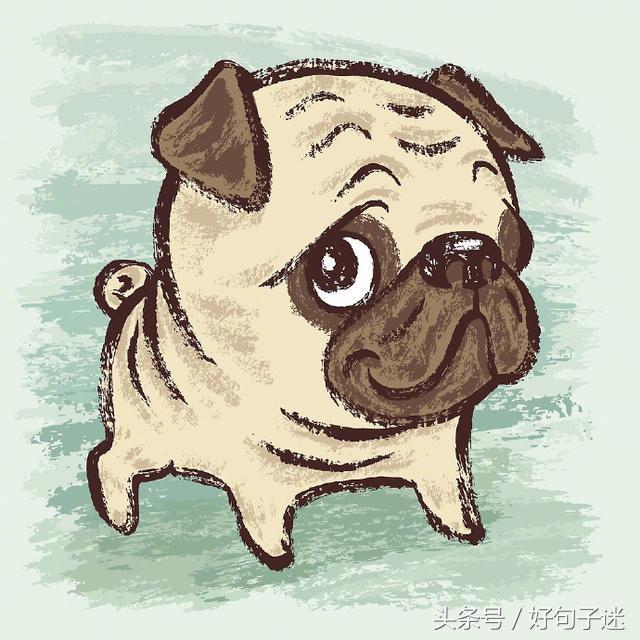 生活心酸又无奈的句子