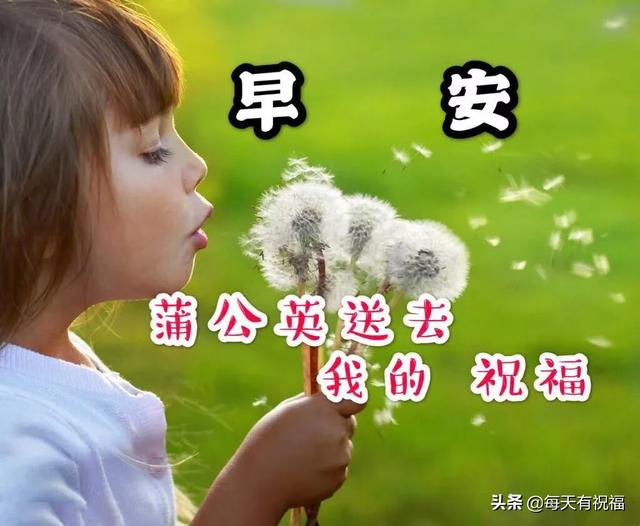 幼儿早上问好的温馨句子