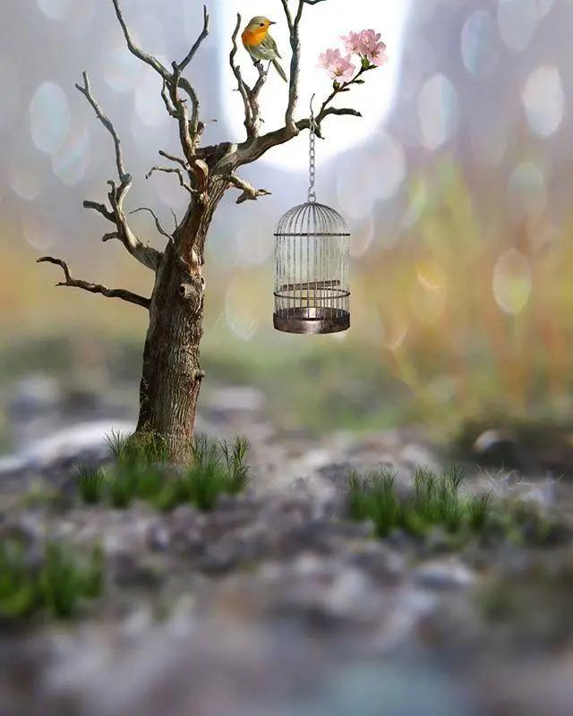 做人人品很重要的句子，一字千金，醍醐灌顶！